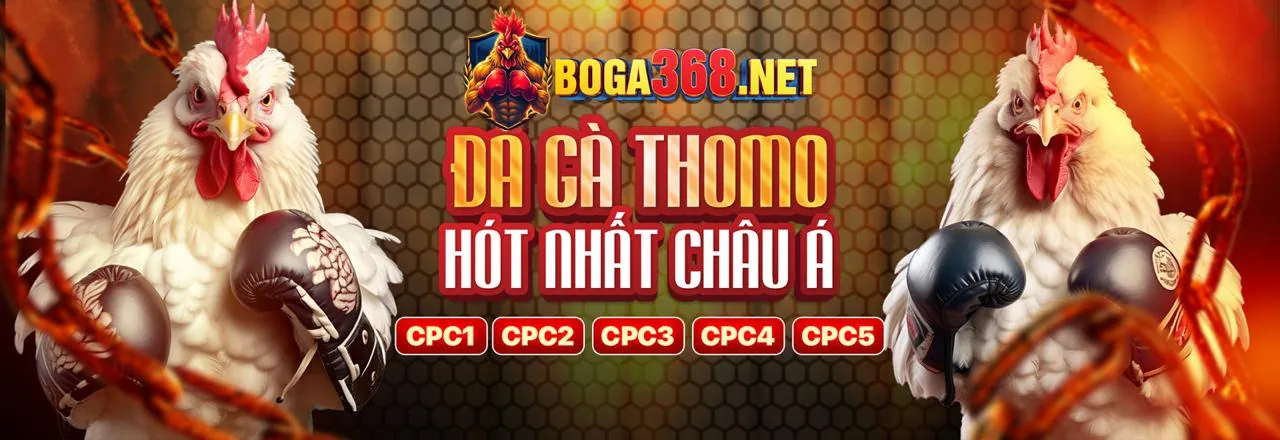 Khuyến mãi hot51live mới nhất 2026