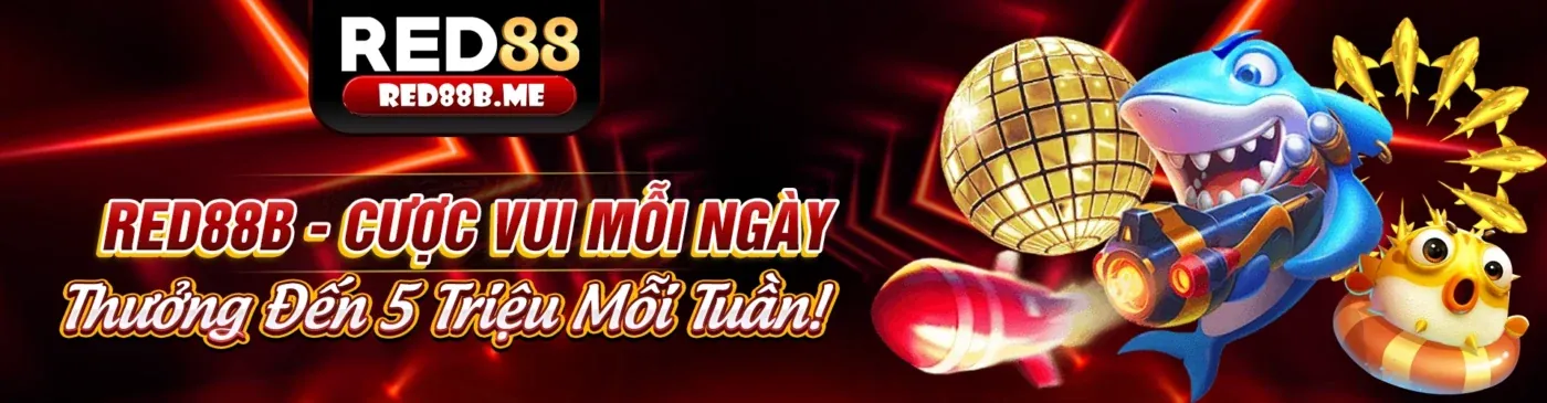 Giới thiệu về hot51live và sứ mệnh của chúng tôi