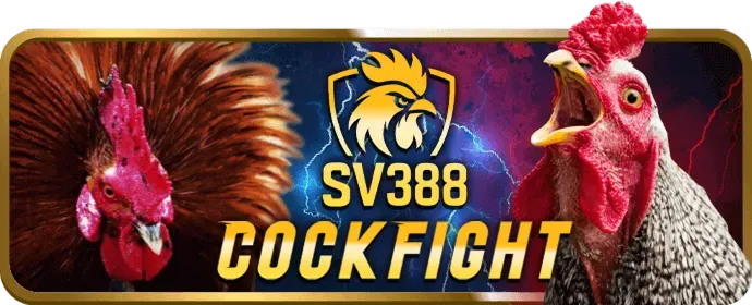 Chiến lược thắng lớn tại hot51live